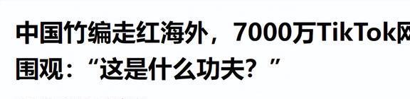 j9九游“神秘中国力量”在国外爆火！12万美元供不应求网友直呼可怕(图26)